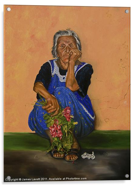 The Parga Flower Seller Acrylic by James Lavott