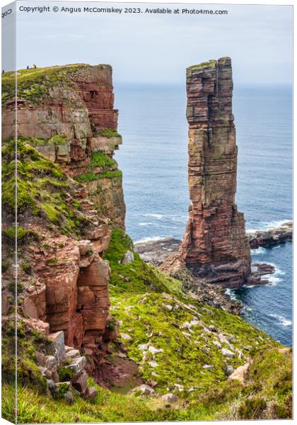 Old Man of Hoy, Orkney, Scotland Canvas Print by Angus McComiskey