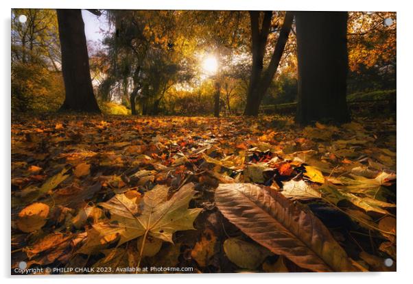 Autumn woodland 983 Acrylic by PHILIP CHALK