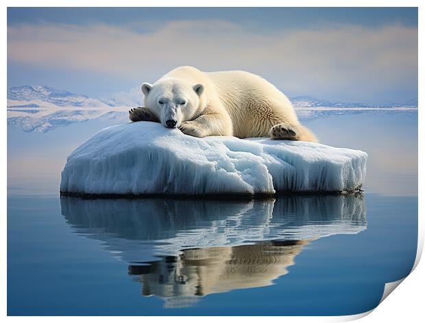 Sleeping Polar Bear Print by Steve Smith
