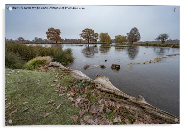 Wintery dawn by local ponds in Surrey Acrylic by Kevin White