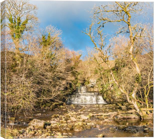 Cotter Force Waterfall, Wensleydale, Yorkshire Dales Canvas Print by Richard Laidler
