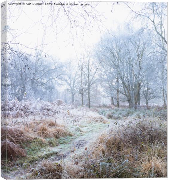 Frozen woodland Canvas Print by Alan Dunnett