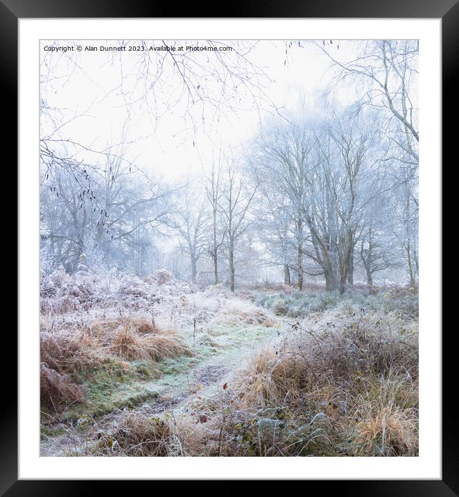 Frozen woodland Framed Mounted Print by Alan Dunnett