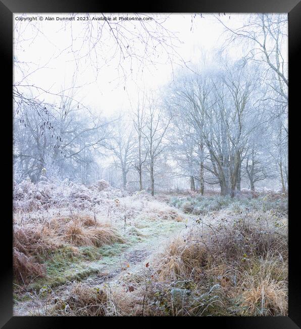 Frozen woodland Framed Print by Alan Dunnett