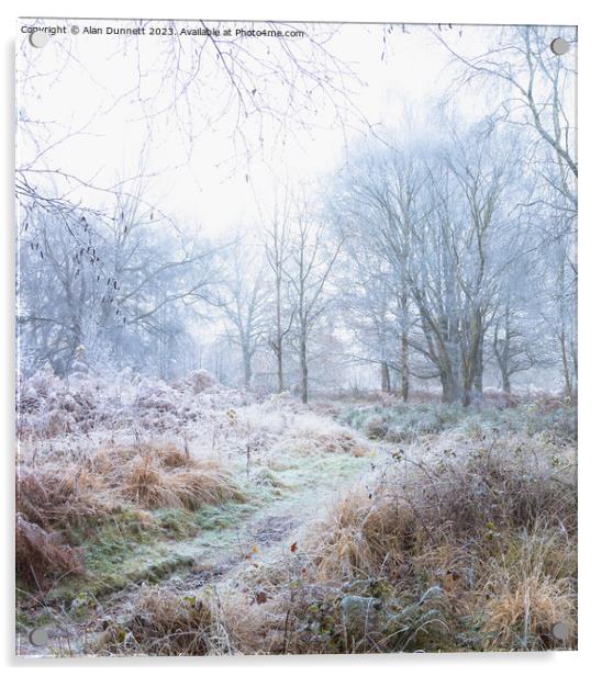 Frozen woodland Acrylic by Alan Dunnett