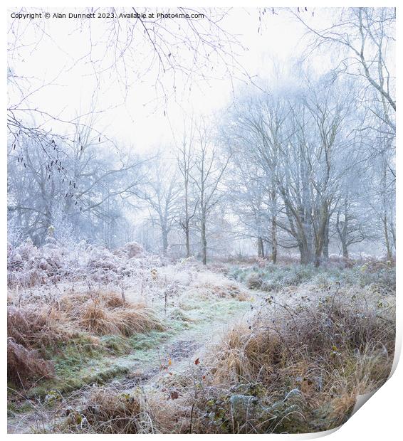 Frozen woodland Print by Alan Dunnett