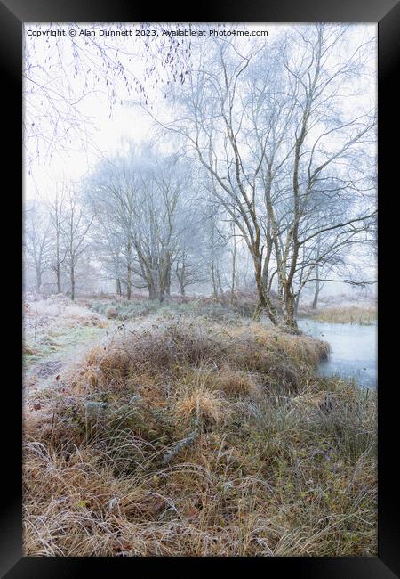 Frozen woodland path Framed Print by Alan Dunnett
