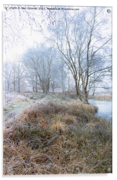 Frozen woodland path Acrylic by Alan Dunnett