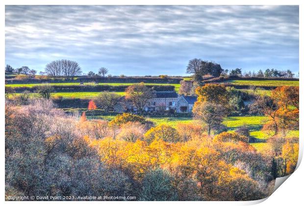 Dartmoor Hill Top Farm Print by David Pyatt