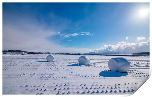 Landscape view of snow cover land Print by Ambir Tolang