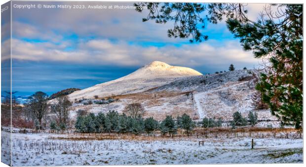 Winter and the East Lomond Hill Canvas Print by Navin Mistry