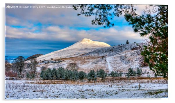 Winter and the East Lomond Hill Acrylic by Navin Mistry