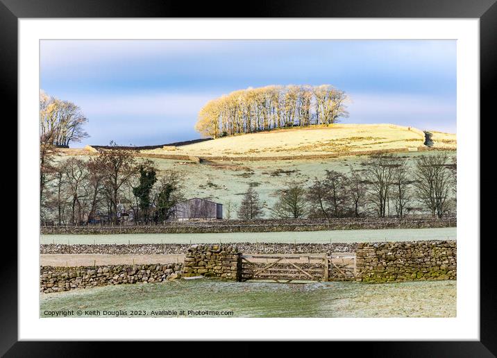 Sunlit trees in Wensleydale Framed Mounted Print by Keith Douglas