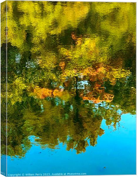 Green Yellow Blue Water Reflection Abstract Habikino Osaka Japan Canvas Print by William Perry