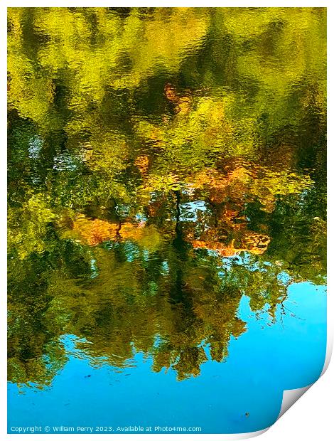 Green Yellow Blue Water Reflection Abstract Habikino Osaka Japan Print by William Perry