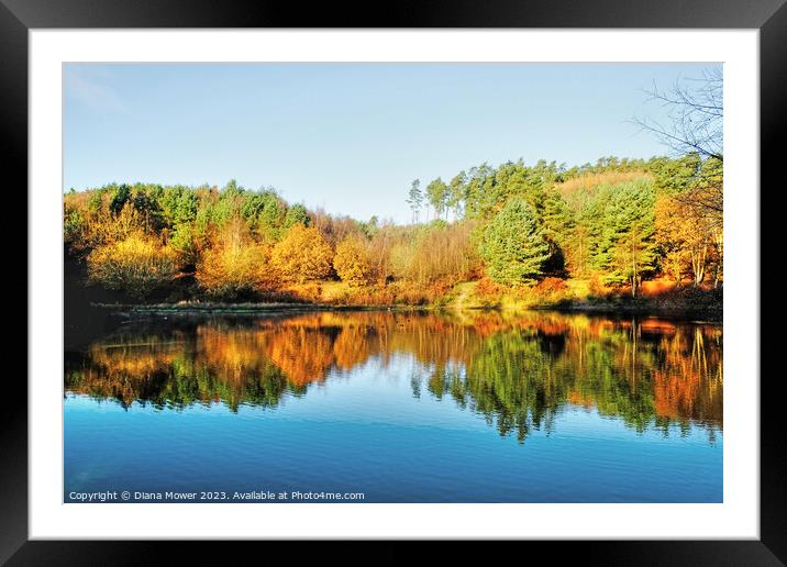 Cannock Chase Autumn Reflections Framed Mounted Print by Diana Mower