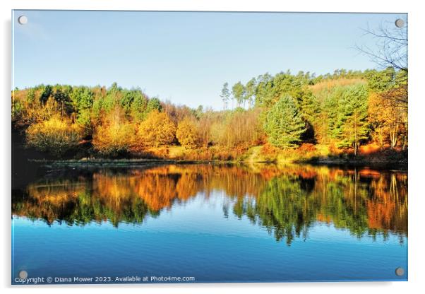 Cannock Chase Autumn Reflections Acrylic by Diana Mower