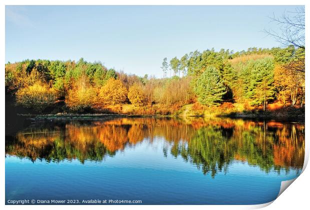 Cannock Chase Autumn Reflections Print by Diana Mower