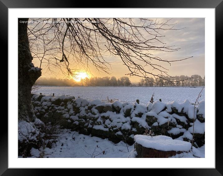 Stone wall winter sunrise Framed Mounted Print by Phil Banks