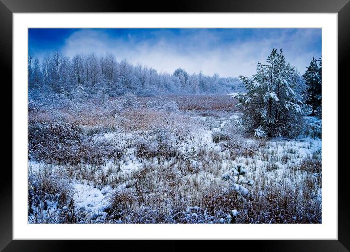 Winter Wonderland Framed Mounted Print by Martyn Arnold