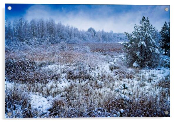 Winter Wonderland Acrylic by Martyn Arnold