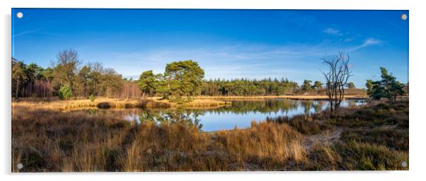 View over the Zevenboomsven lake in the Afferdense Duinen Acrylic by John Stuij