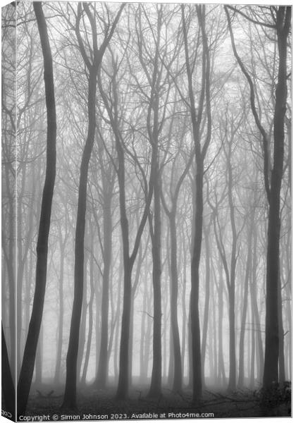 misty woodland Canvas Print by Simon Johnson