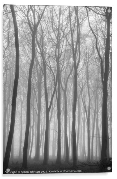 misty woodland Acrylic by Simon Johnson