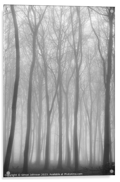  misty woodland soft focus Acrylic by Simon Johnson