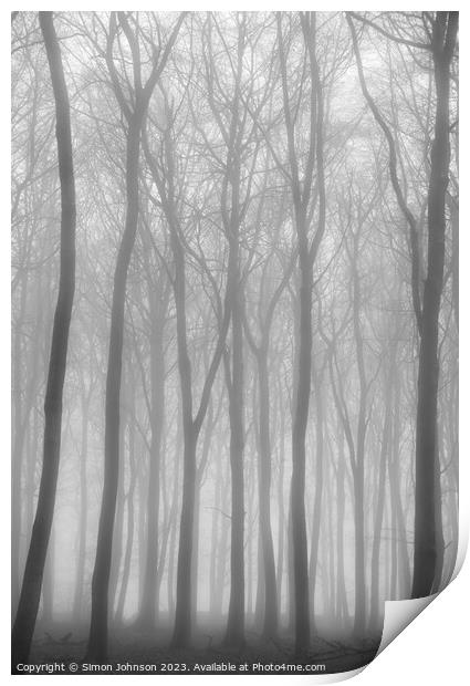  misty woodland soft focus Print by Simon Johnson