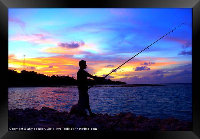 Fisherman Framed Print by David Maldives