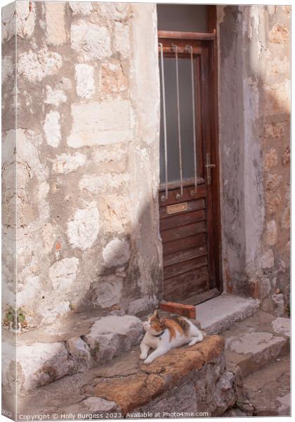 Cat sitting on the step in Dubrovnik Croatia  Canvas Print by Holly Burgess