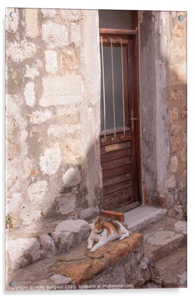 Cat sitting on the step in Dubrovnik Croatia  Acrylic by Holly Burgess
