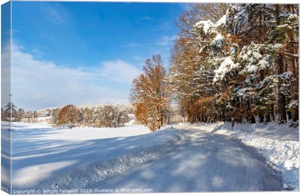 Road in the countryside after heavy snowfall in central Europe Canvas Print by Sergey Fedoskin