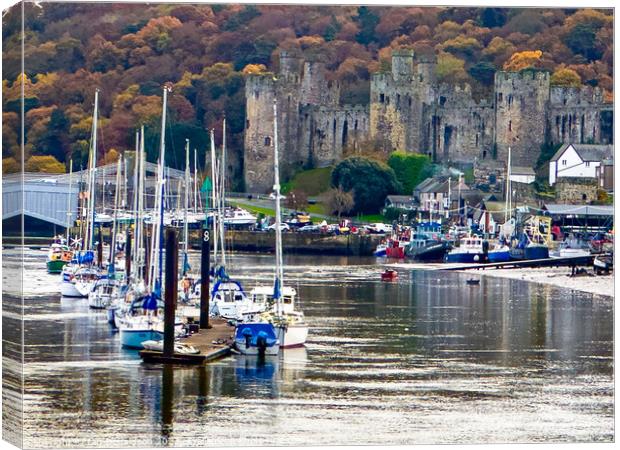 Conwy Castle Canvas Print by Ian Donaldson