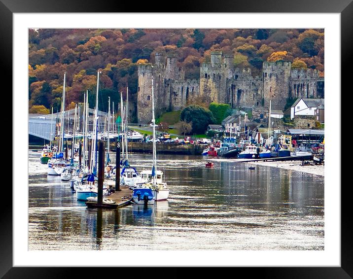 Conwy Castle Framed Mounted Print by Ian Donaldson