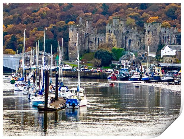 Conwy Castle Print by Ian Donaldson