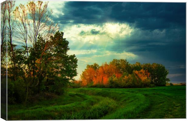 An old riverbed in the green field. Canvas Print by Dejan Travica