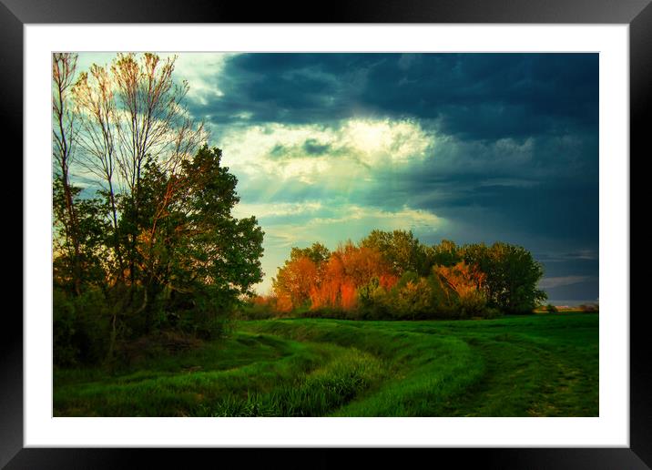 An old riverbed in the green field. Framed Mounted Print by Dejan Travica