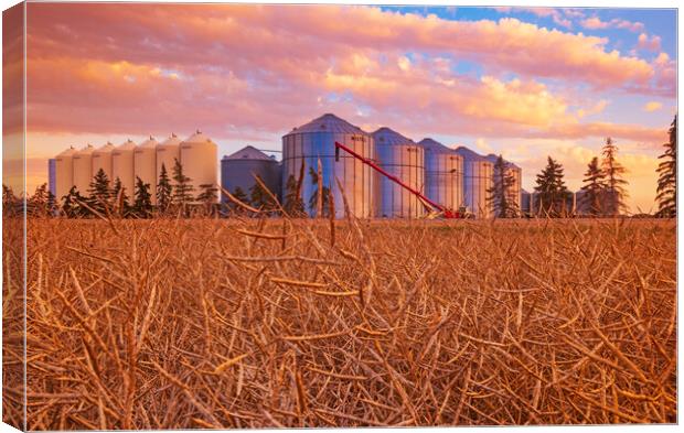 close up of grain storage bins with harvest ready canola field in the foreground Canvas Print by Dave Reede