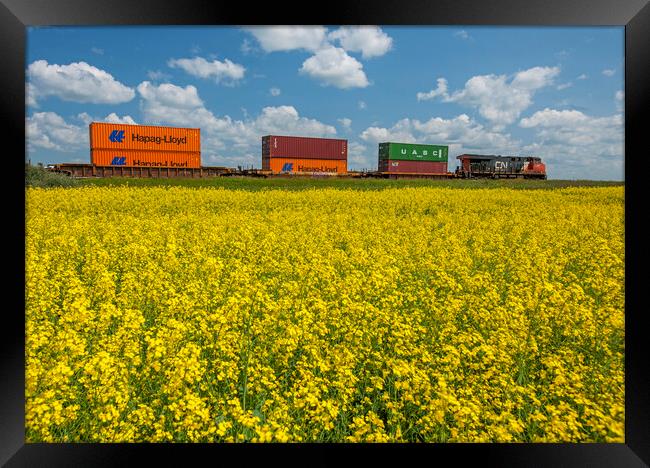 rail cars carrying containers passe a canola field Framed Print by Dave Reede