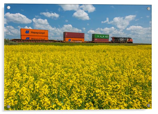 rail cars carrying containers passe a canola field Acrylic by Dave Reede