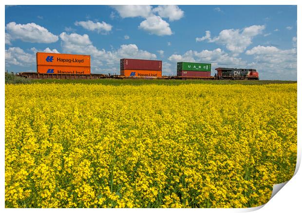 rail cars carrying containers passe a canola field Print by Dave Reede
