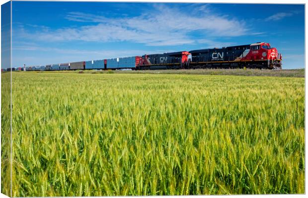 locomotives pulling general freight pass a spring wheat field Canvas Print by Dave Reede