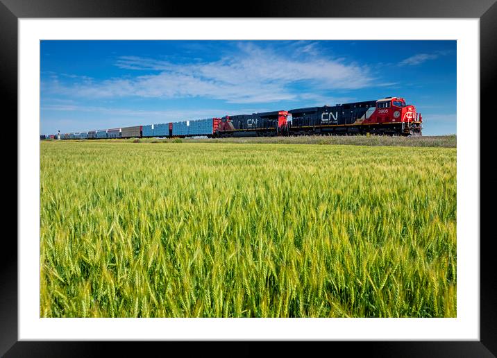 locomotives pulling general freight pass a spring wheat field Framed Mounted Print by Dave Reede