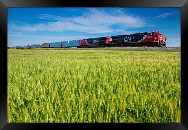 locomotives pulling general freight pass a spring wheat field Framed Print by Dave Reede