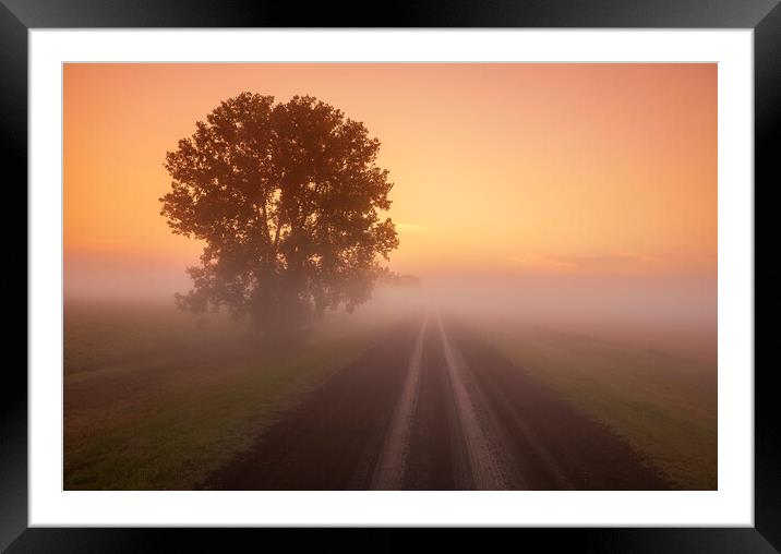Country Backroad Framed Mounted Print by Dave Reede