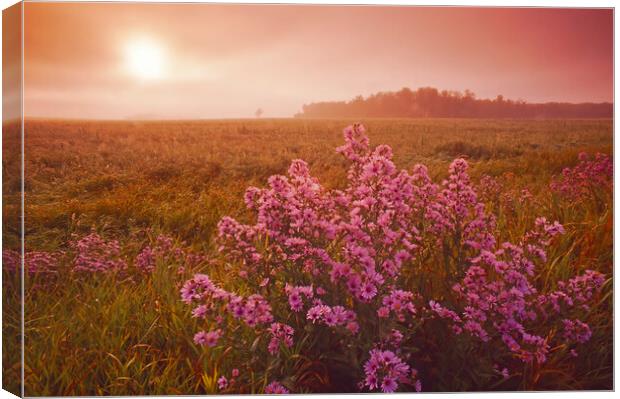 Moody Prairie Morning Canvas Print by Dave Reede