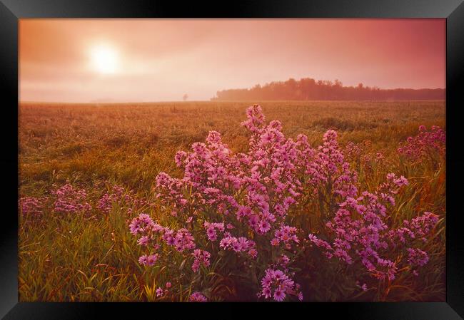 Moody Prairie Morning Framed Print by Dave Reede